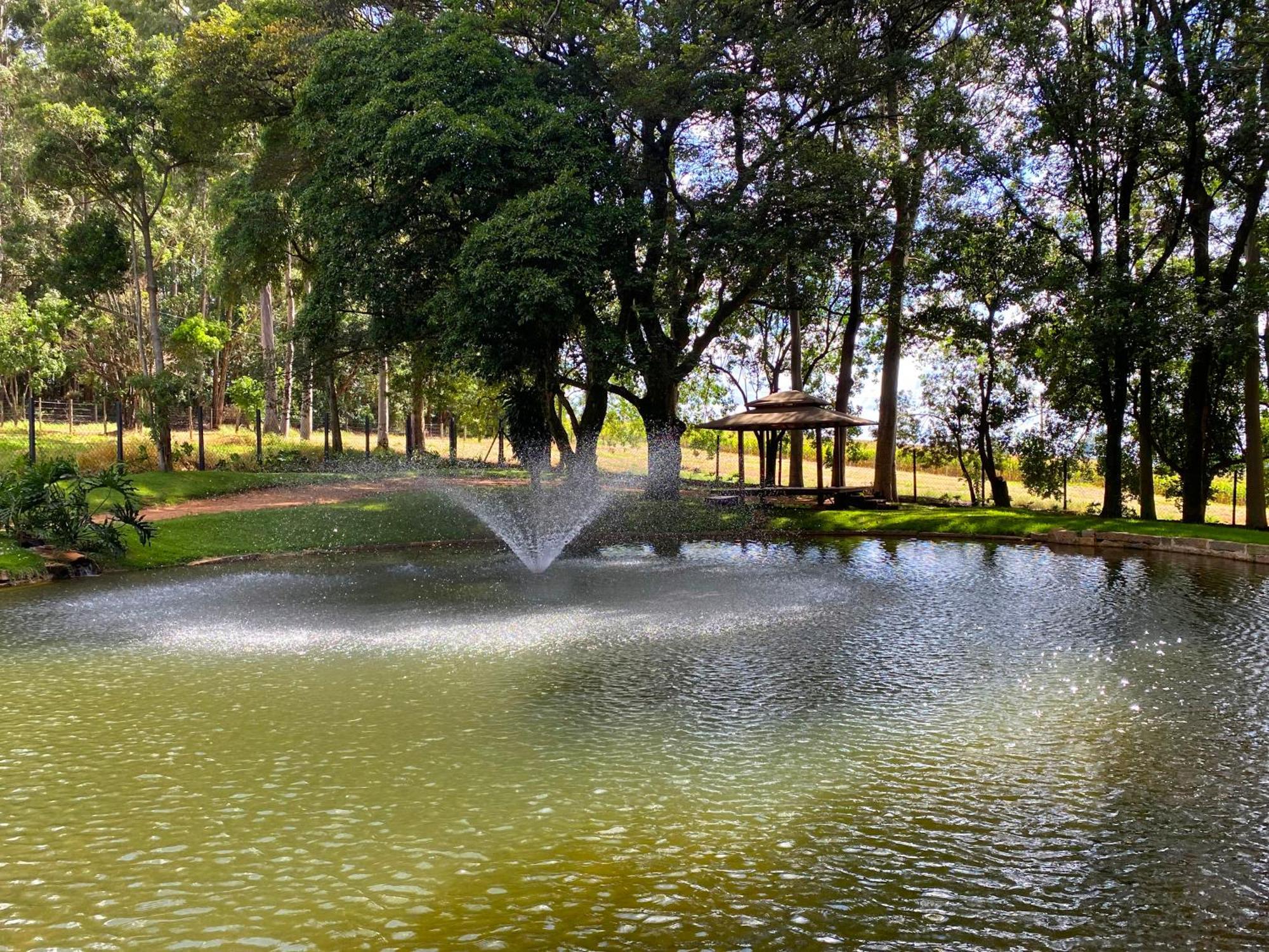 Limoeiro Da Concordia Hotel Fazenda De Charme Cabreuva Exterior photo